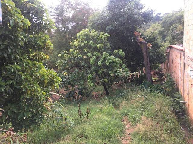 #137 - Área para Venda em Ribeirão das Neves - MG